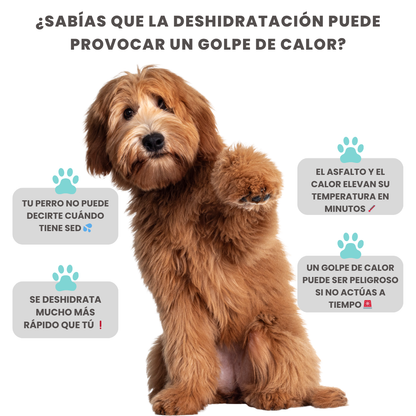 Hydropaw™ Botella de agua portátil